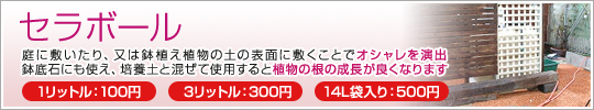 セラボール