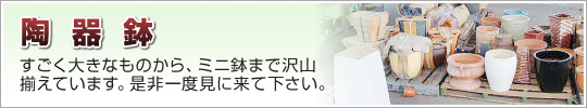 陶器鉢